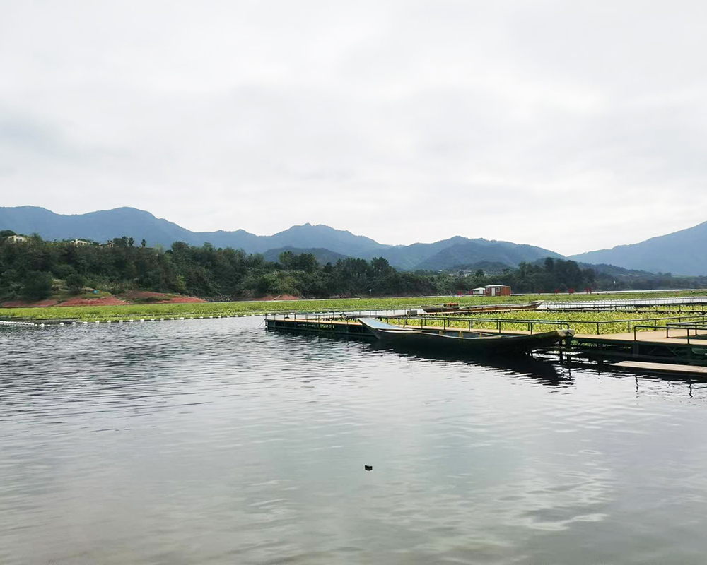 千島湖總部